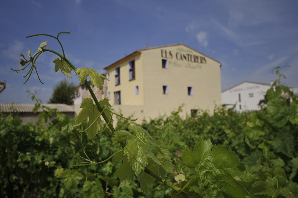 Bed and breakfast Els Canterers