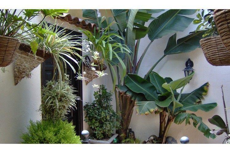 Apartment Monasterio De San Antonio - Adults Only Icod De Los Vinos
