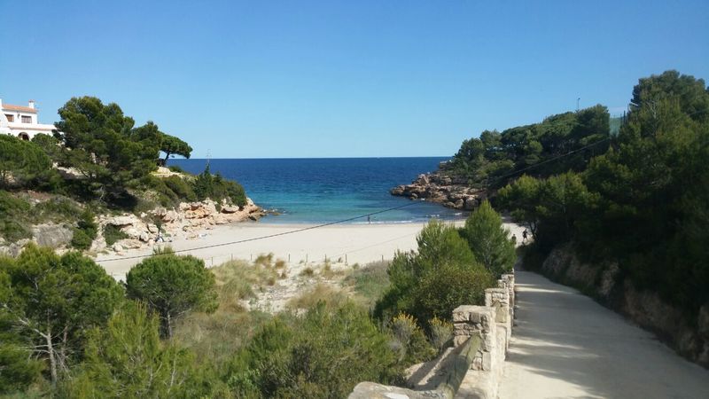 Alguer L'Ametlla de Mar