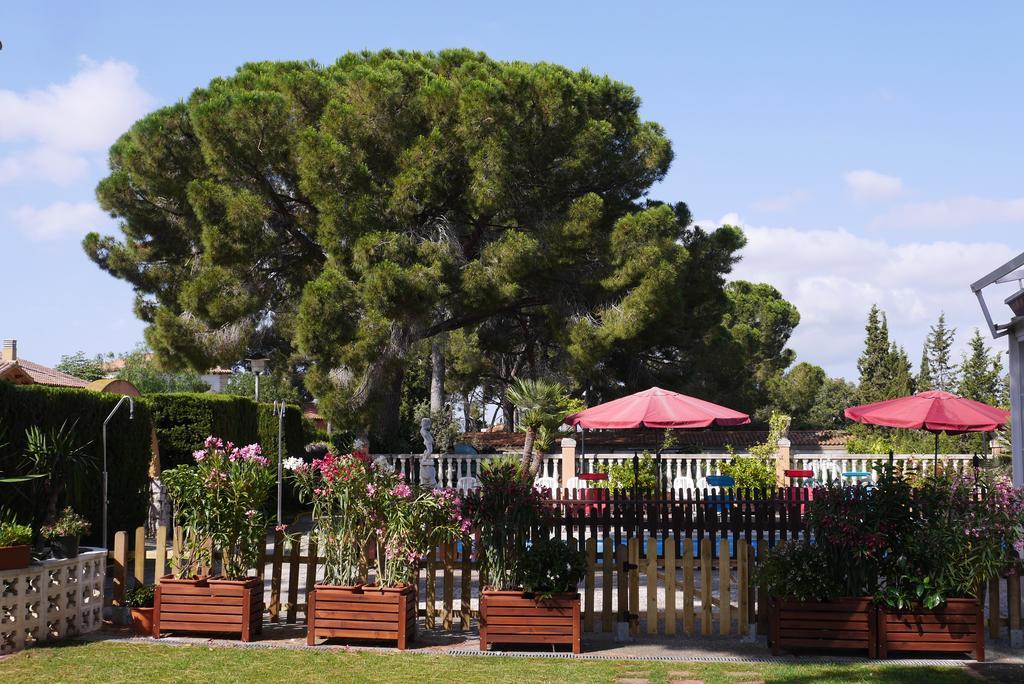 Restaurant El Bosc