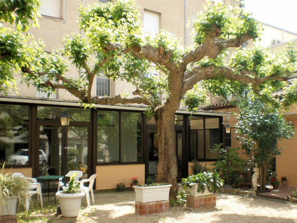 Guest house Fabrellas
