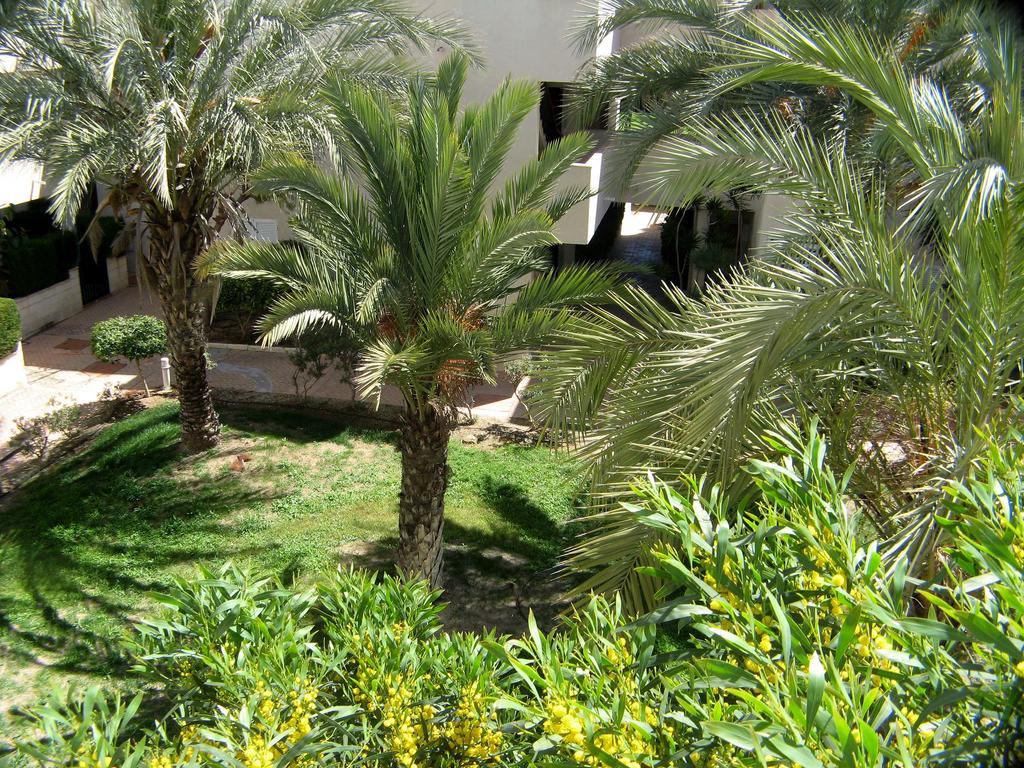 Apartment Venavera Playa Mimosas 11 La Aldea De Puerto Rey Piscina Y Jardines Muy Tranquilo Wifi