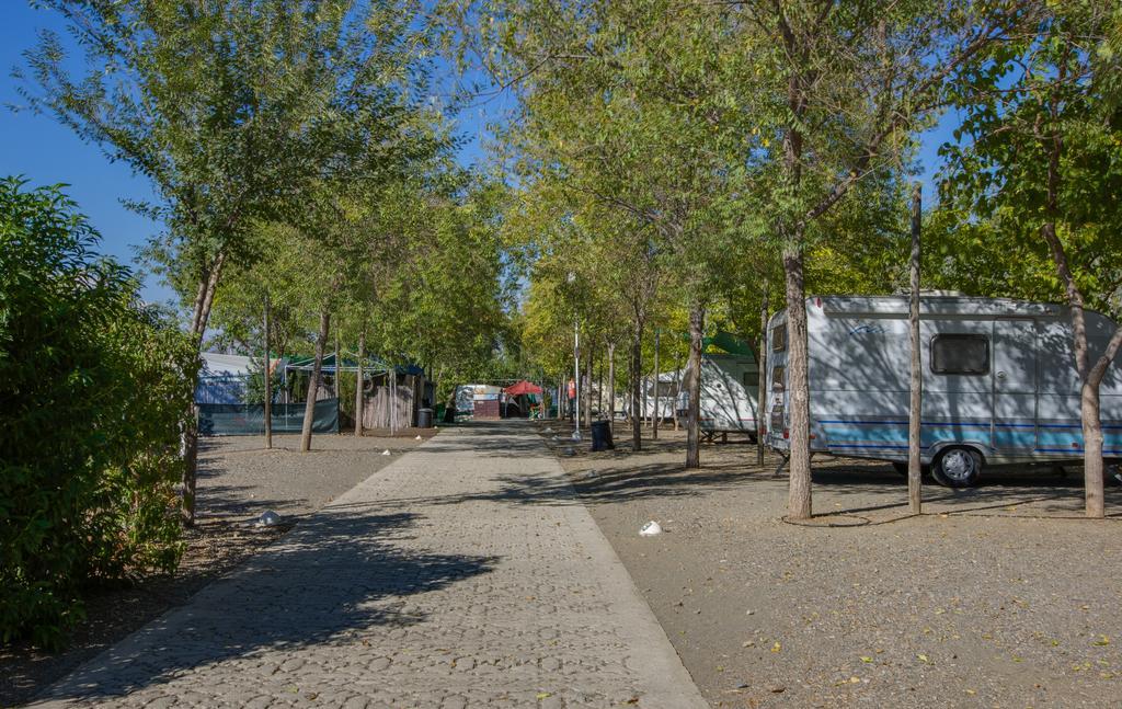 Camping Iznate