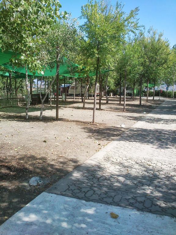 Campsite Camping Iznate Iznate