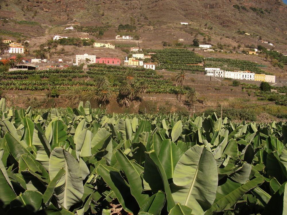 Casa rural Llano Campo *