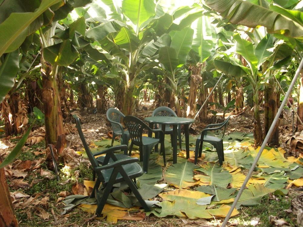 Casa rural Llano Campo