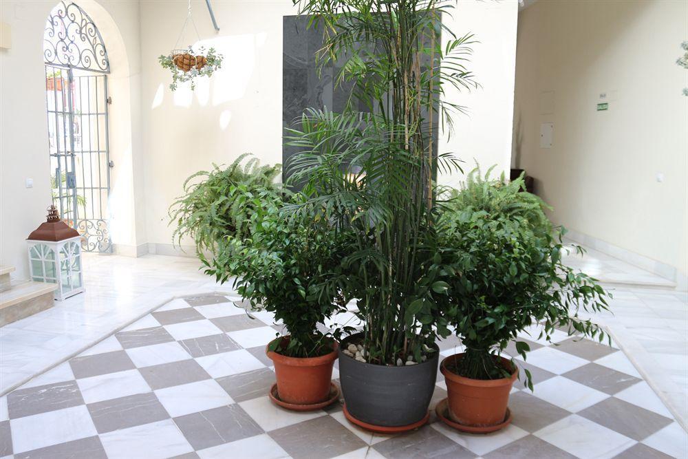 Apartamento Palacio De Luja