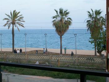 Mitus * Canyet de Mar