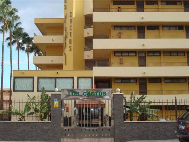 Cactus Apartamento
