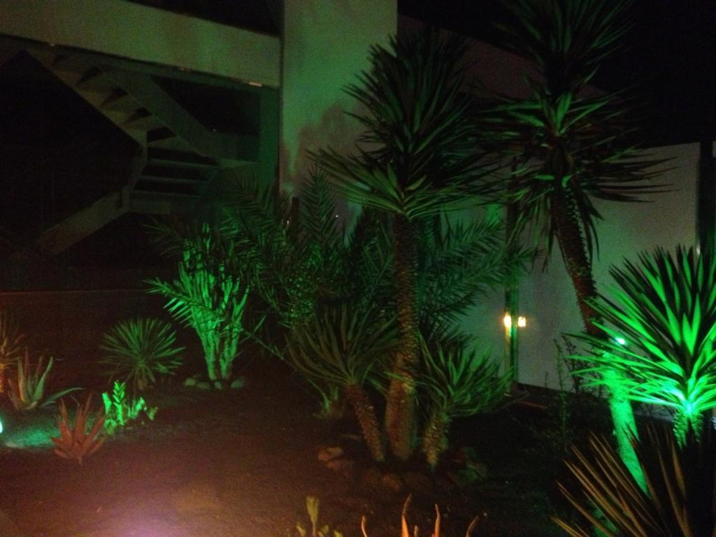 On The * Corralejo