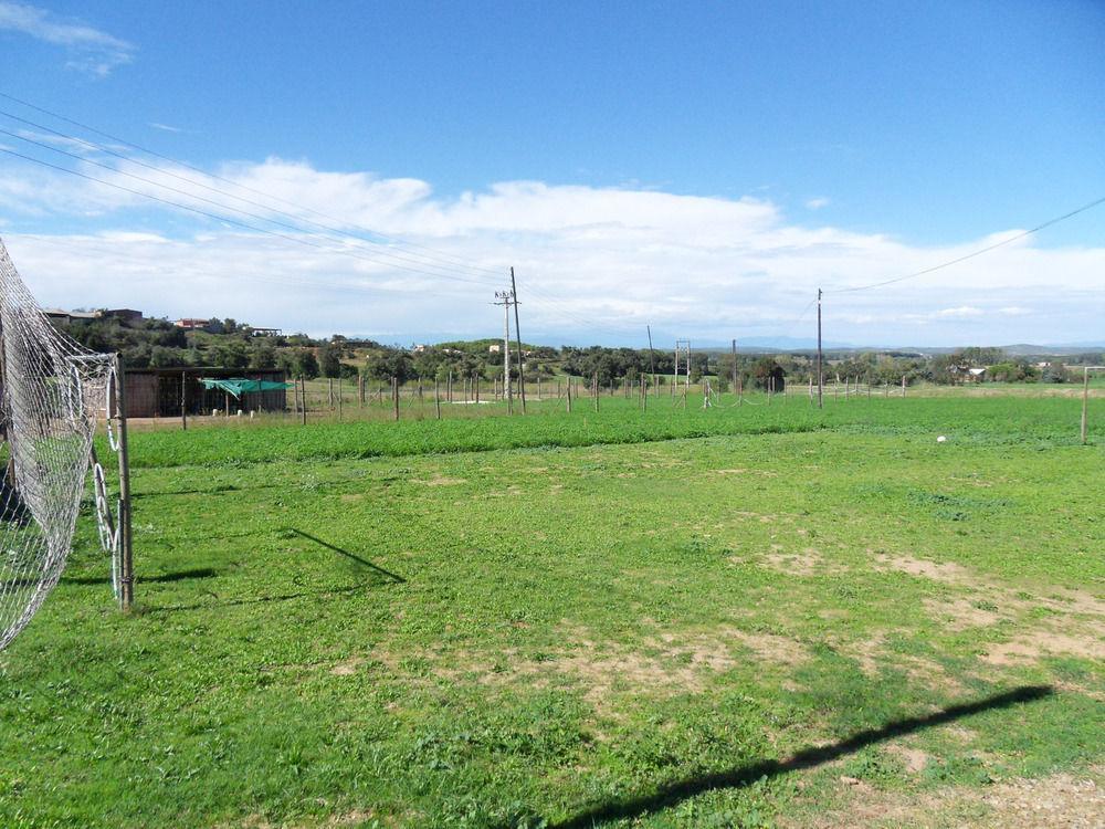 Els Masos D'en Coll Casa rural