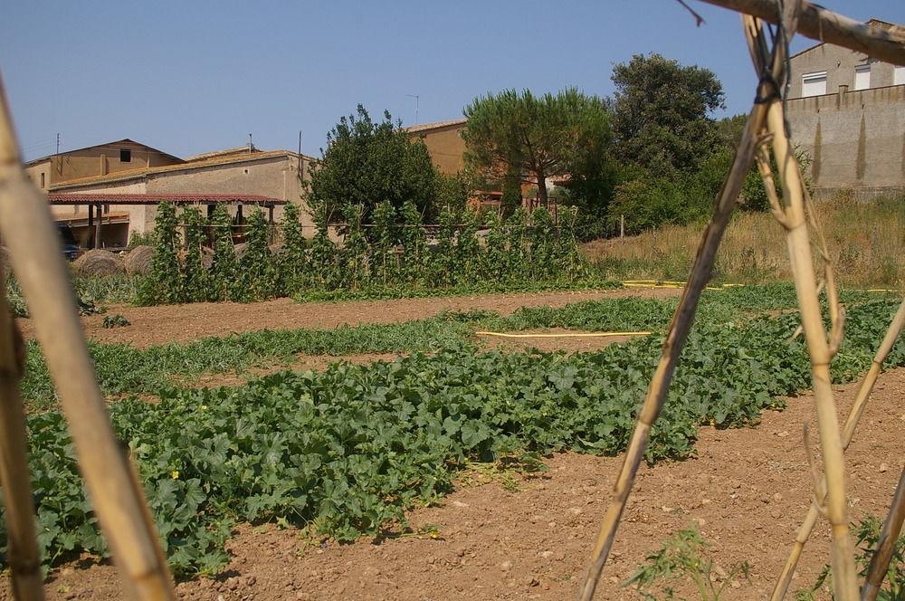 Els Masos D'en Coll Casa rural *
