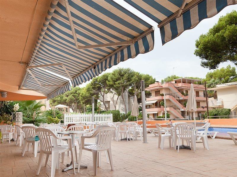 Vibra Palma Cactus 4*
