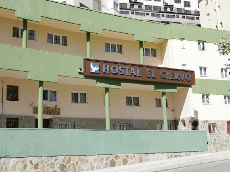 El Ciervo Guest house 2*