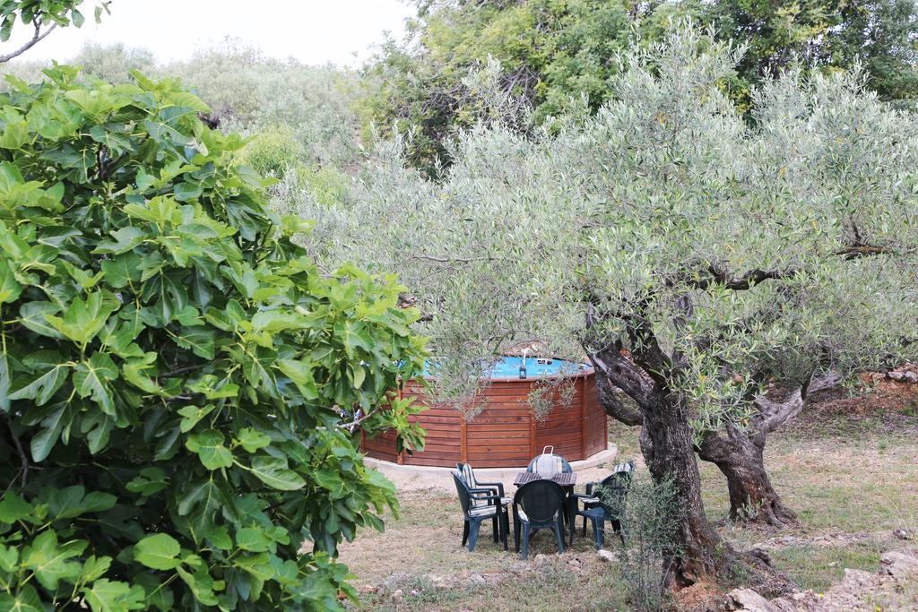 Luxury tent Yurta Mongola Delta Del Ebro