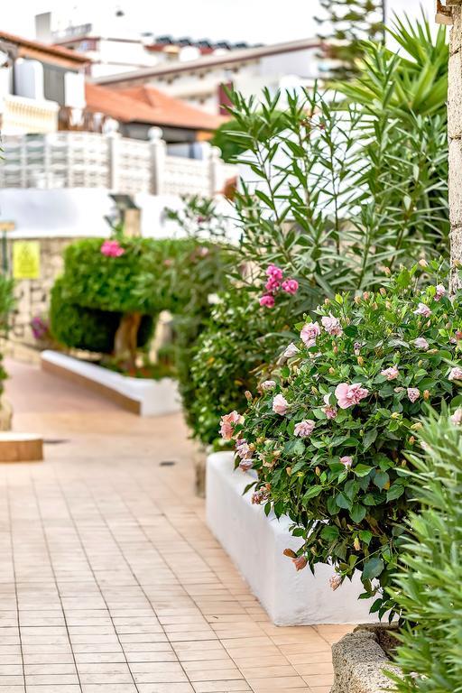 Apartamento In Paraiso Royal Playa de las Américas