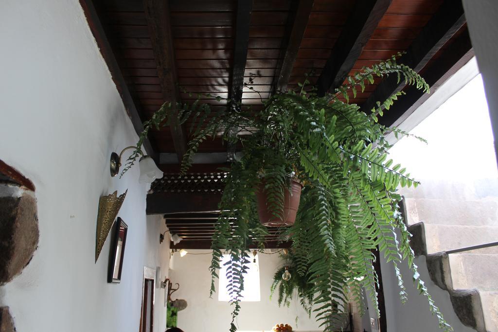 Casa Paradis * San Juan de la Rambla
