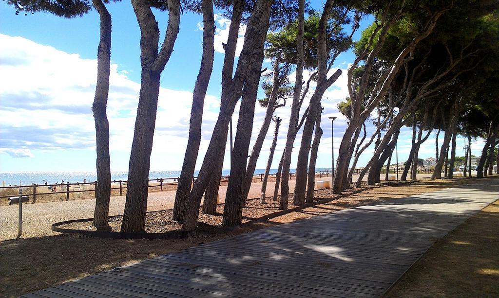 Apcostas - Habitat Playa Romana *