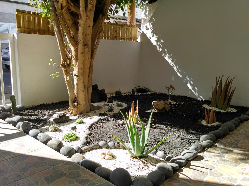 Pensión Greentree House Corralejo