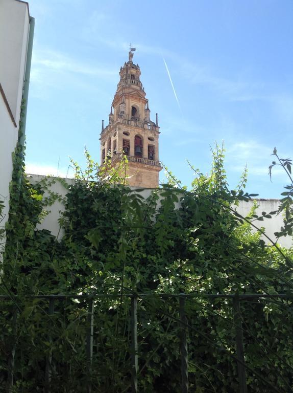 La Hoguera Cordoba