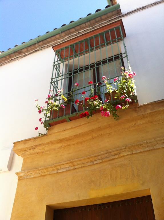 La Hoguera *