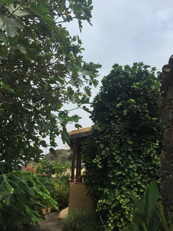 Casa Rural Las Rosas