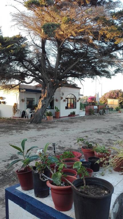 Dunas: Beachfront With Jacuzzis Holiday home Rota