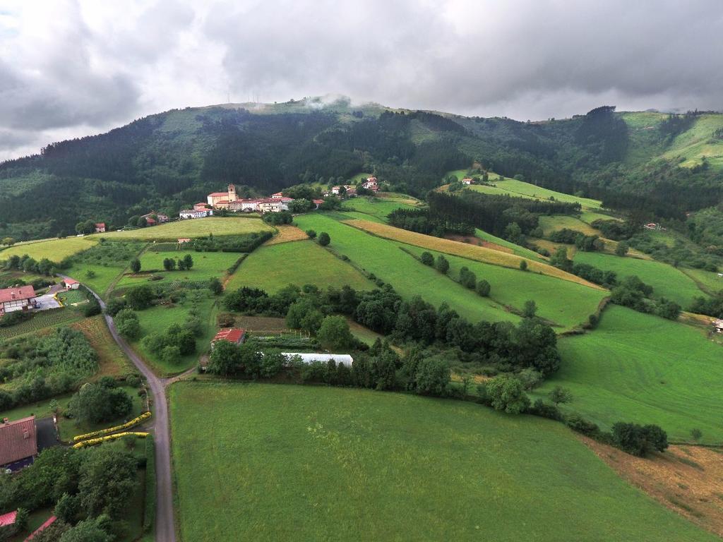 Tolare-berri Zestoa
