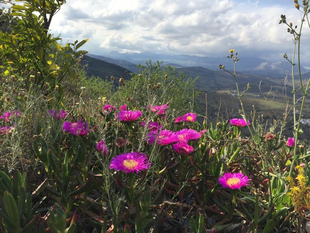 Loma Pelones 78 Сasa de vacaciones Viñuela
