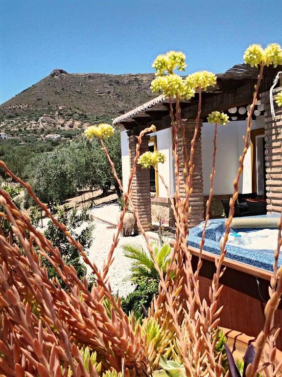 Casa La Barraca Villa *