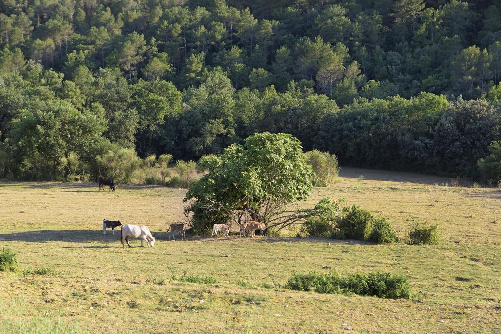 Country house Masoveria De