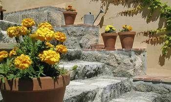 Casa Bons Aires (Adults Only)