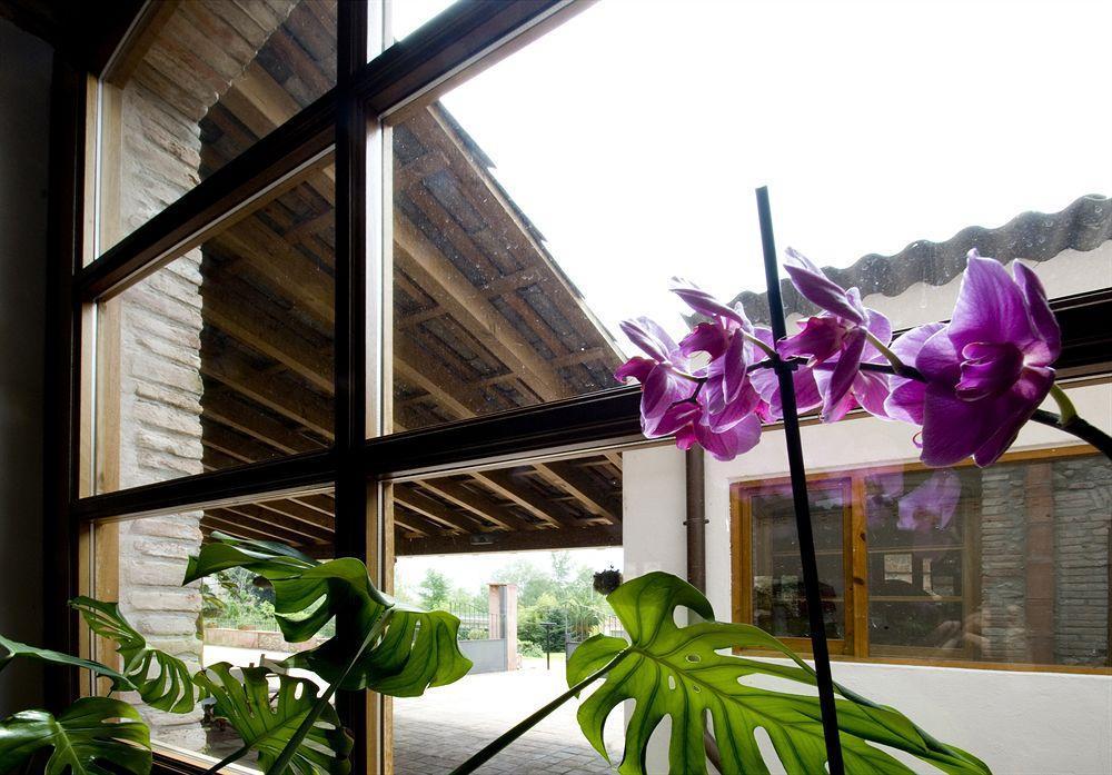 Hotel Moli De La Torre