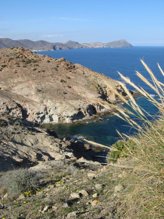 Gaviotas Del Cabo