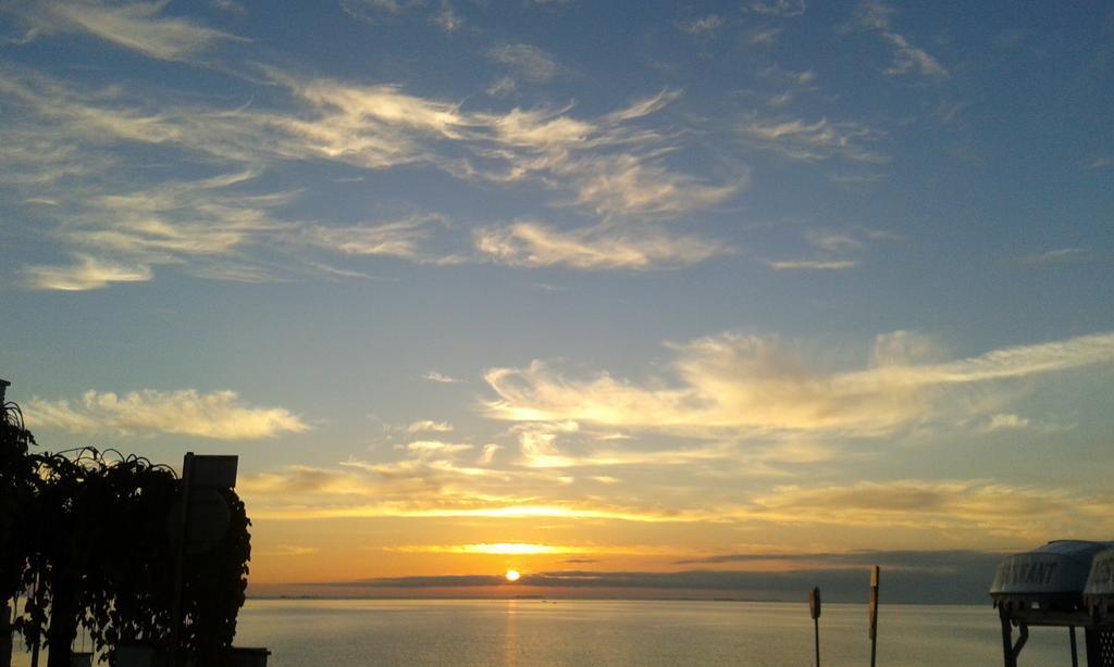 Ornis Platja