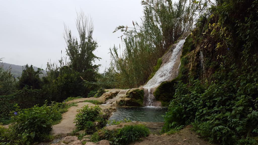 El Arriate De Vejer