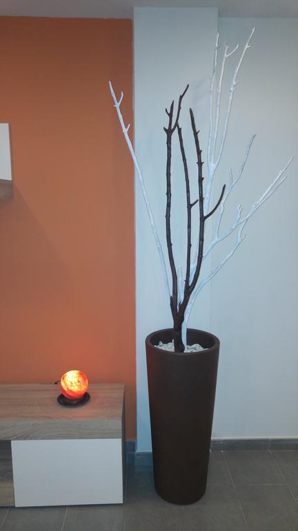 Studio Loft Fuerteventura Apartamento *