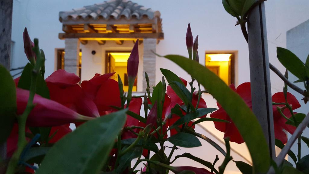 El Arriate De Vejer *