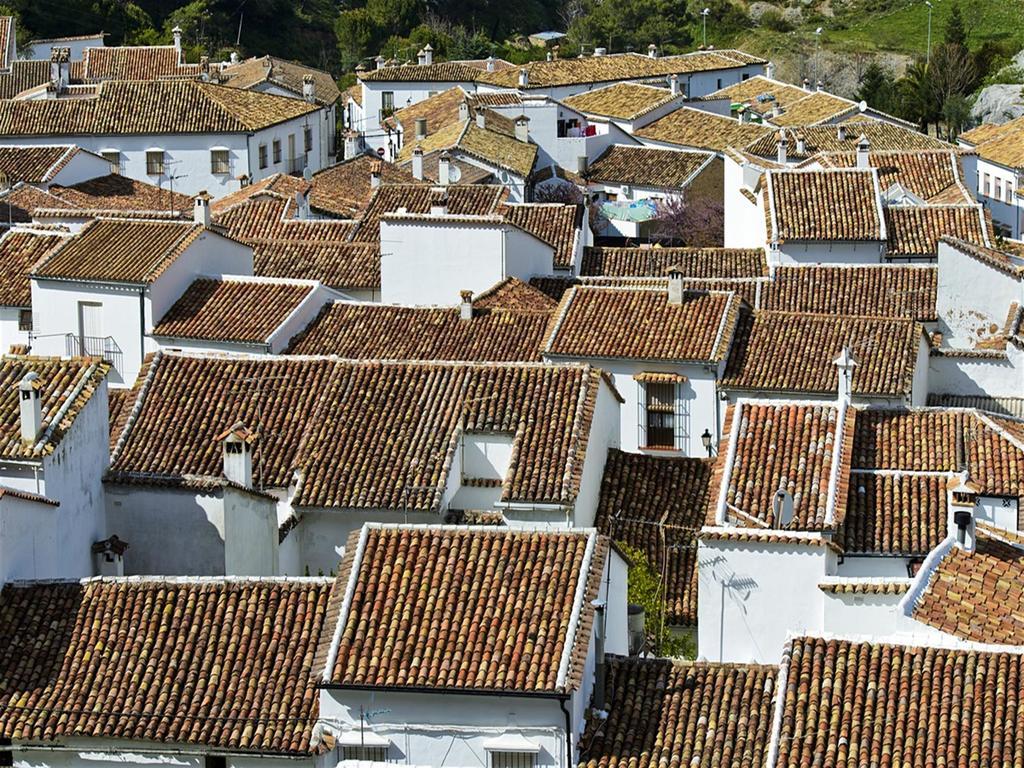 El Artista Grazalema