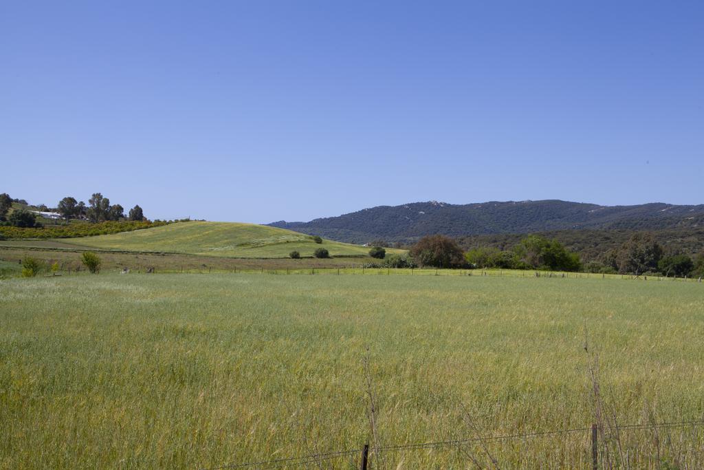 La Bordalla 3* Jimena De La Frontera
