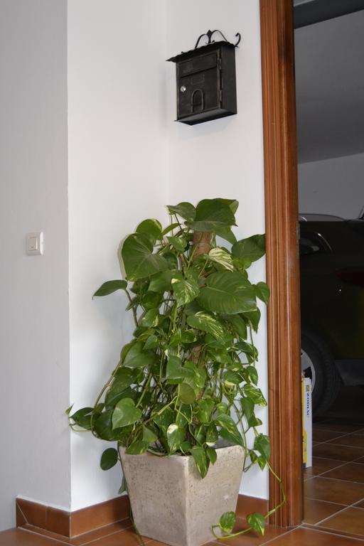 Casa Quercus Con Piscina Privada * Cortes de la Frontera