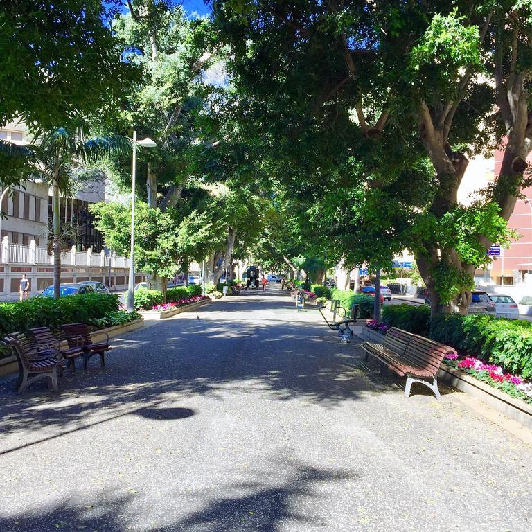 En La Rambla Santa Cruz de Tenerife