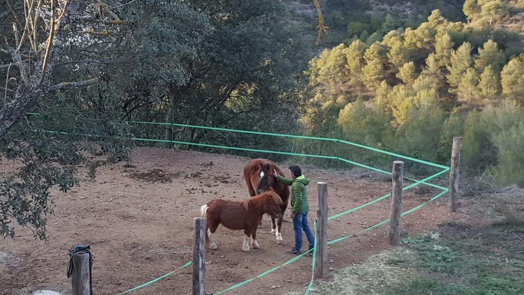 Masia Casajoana Rural Guest house Rellinars