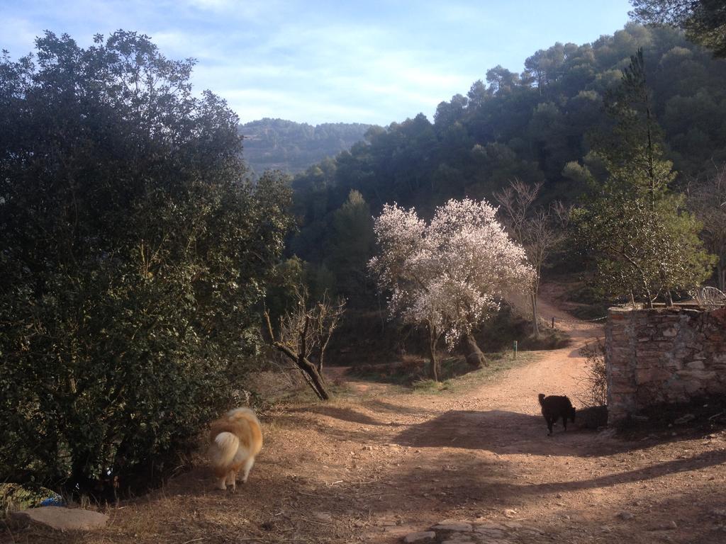 Masia Casajoana Rural Rellinars