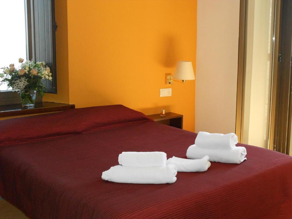 Santuari De La Salut De Hotel Sant Feliu De Pallerols
