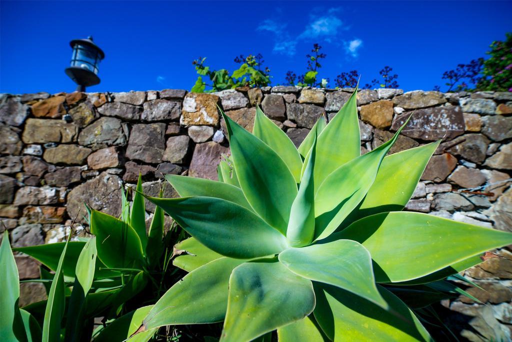 Guest house El Levante Tarifa