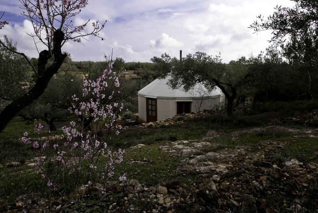 Luxury tent Yurta Mongola Delta Del Ebro