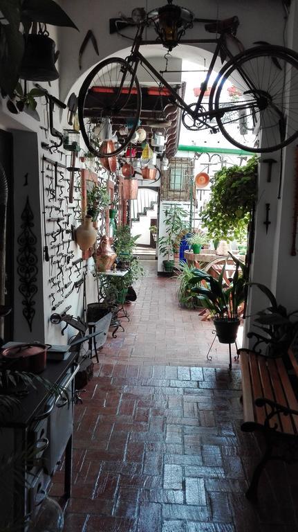 Casa Museo Jerez Centro * Jerez de la Frontera