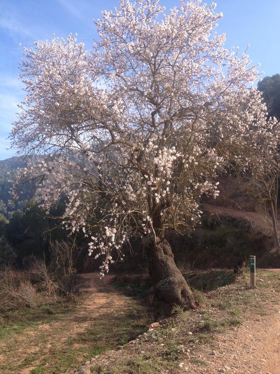 Guest house Masia Casajoana Rural