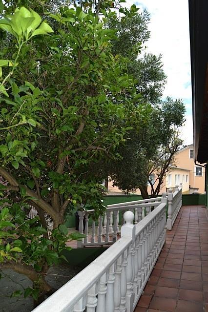 Rurales Casa Ron * Coana